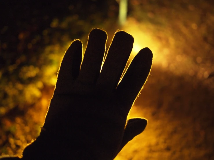 a hand is holding a lamp light up