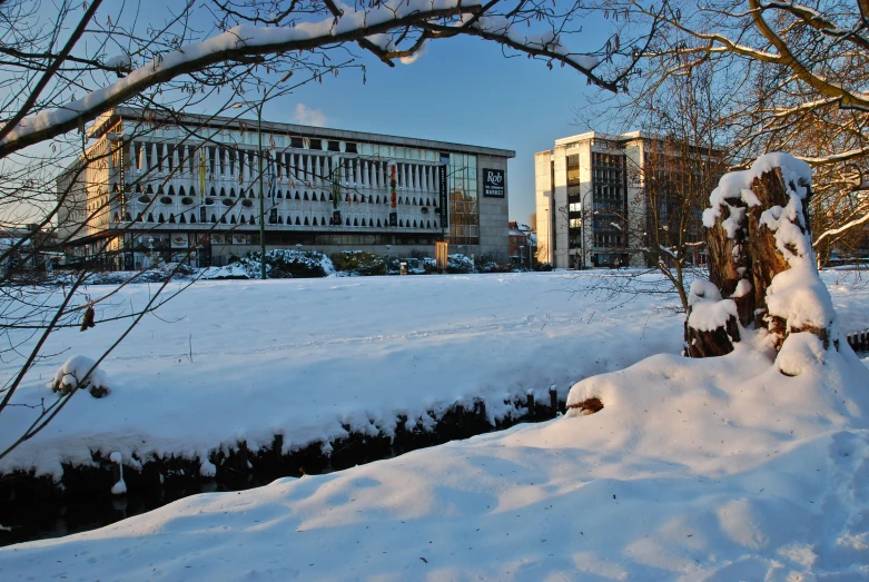 the winter landscape shows thicket of snow covering a path and street