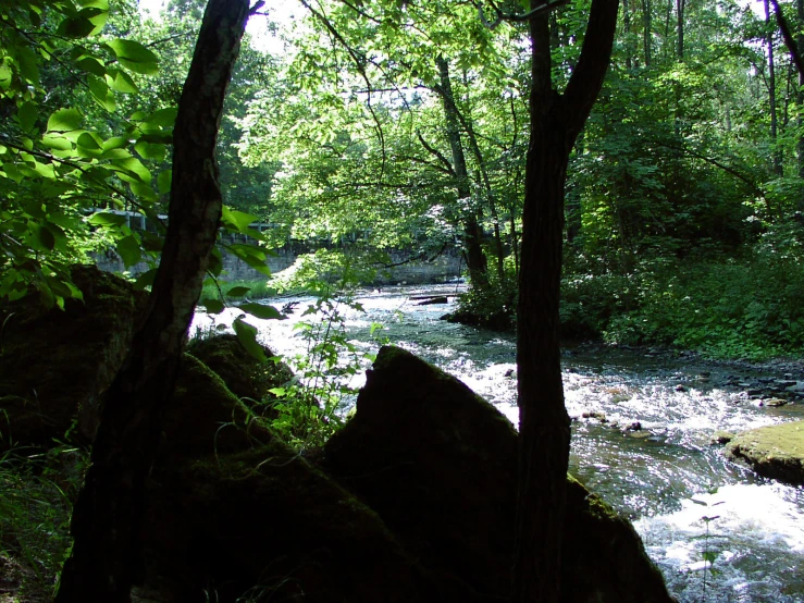 there is water flowing near the rocks in the stream