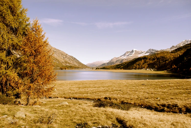 a view looking over the edge of a lake