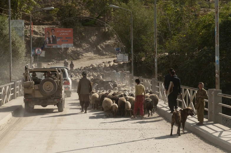 a group of people and a vehicle on a bridge with sheep walking in front