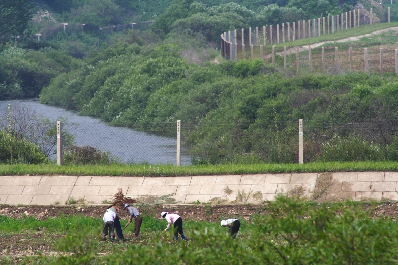 four people walking in the grass and one of them is reaching for soing