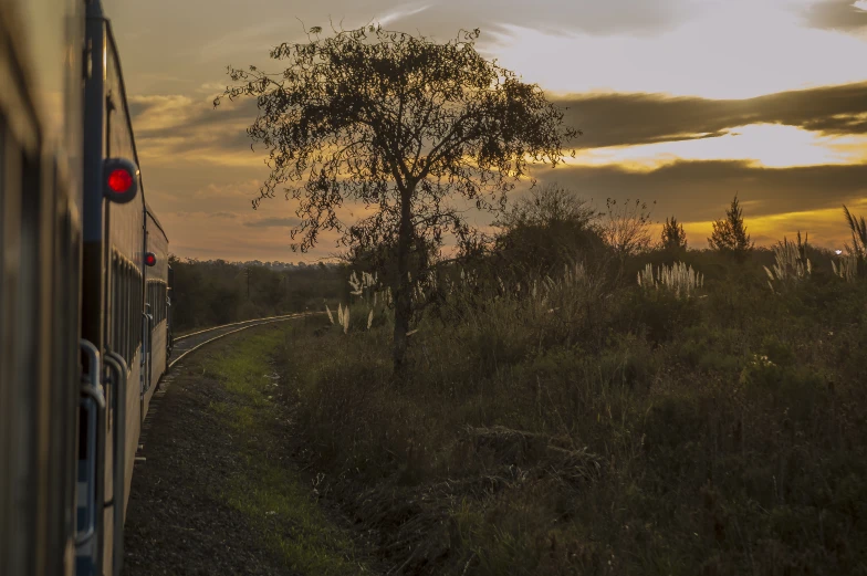 a train traveling down tracks near a lush green field