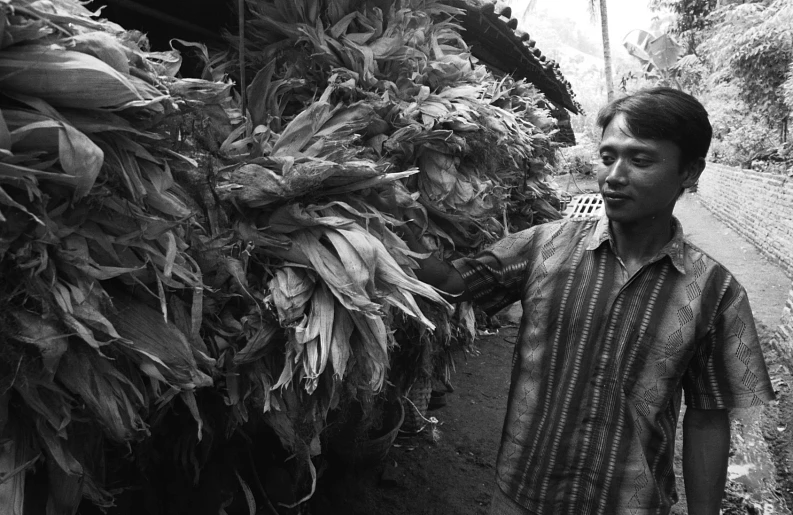 a man standing next to some palm trees