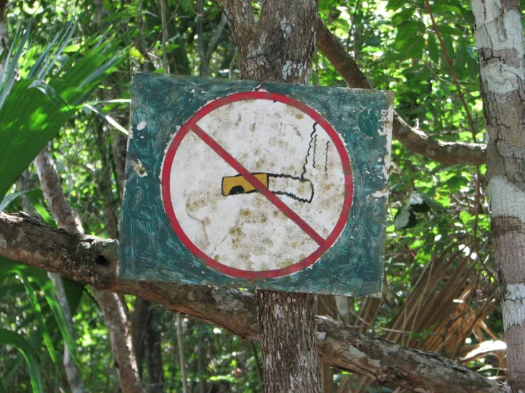 a sign with a hand drawn on it in a tree