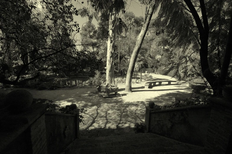 a park area with trees and benches on a sunny day