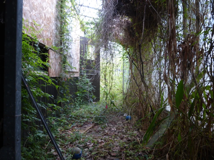an overgrown room with a window and a metal structure