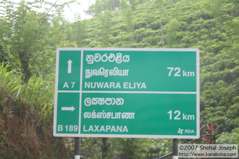 green signs in thai giving directions with trees behind