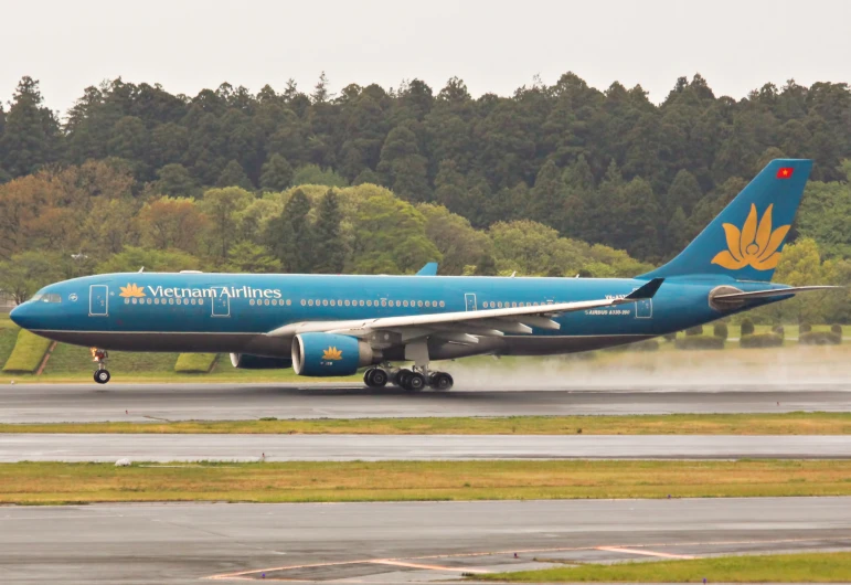 a blue and yellow plane is on a runway