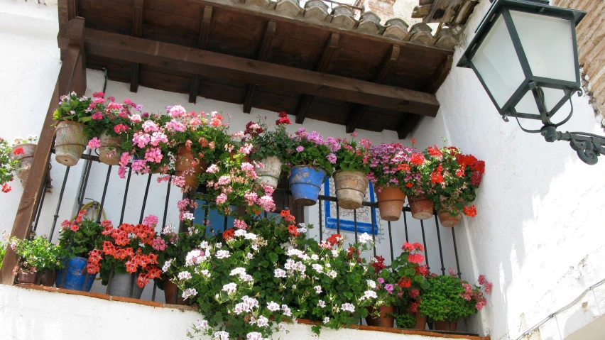 a balconied with many different flowers on it