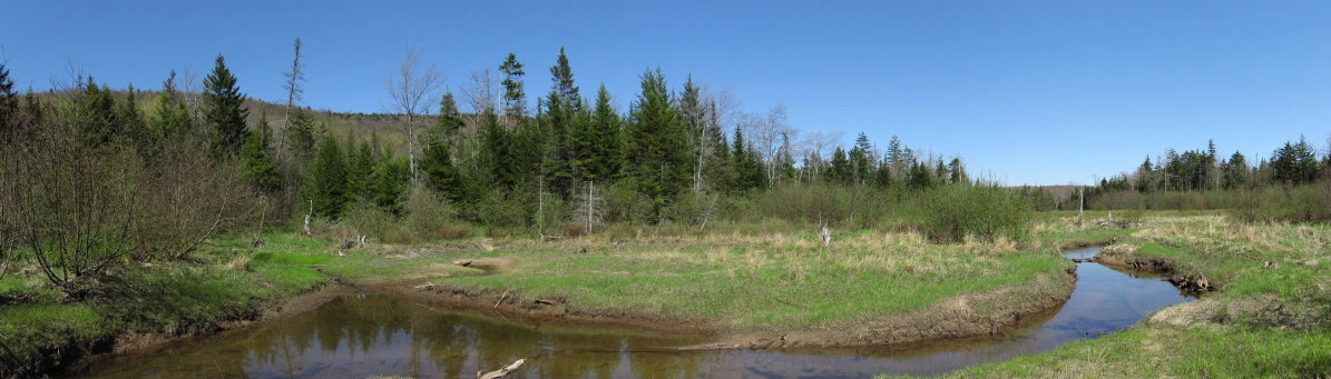 a small creek in the middle of an open field