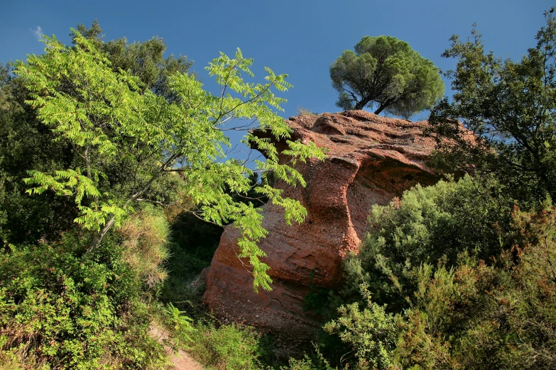 a rock formation with trees growing out of it