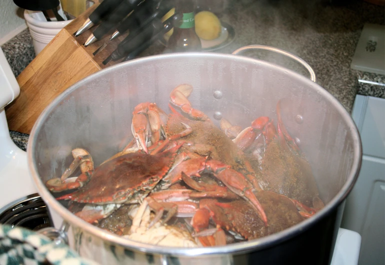 a big pot of food in the middle of the kitchen