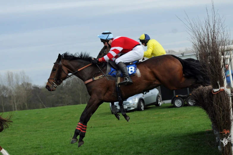the jockey jumps his horse over an obstacle on the course