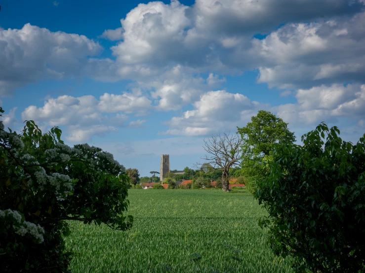 there is an image of a grassy field with trees and a clock tower in the background