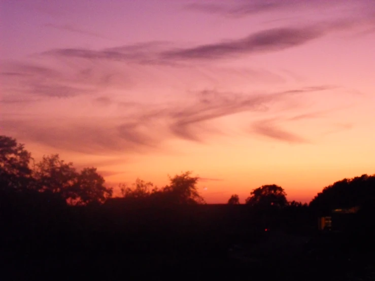 the silhouette of some trees against a purple sky