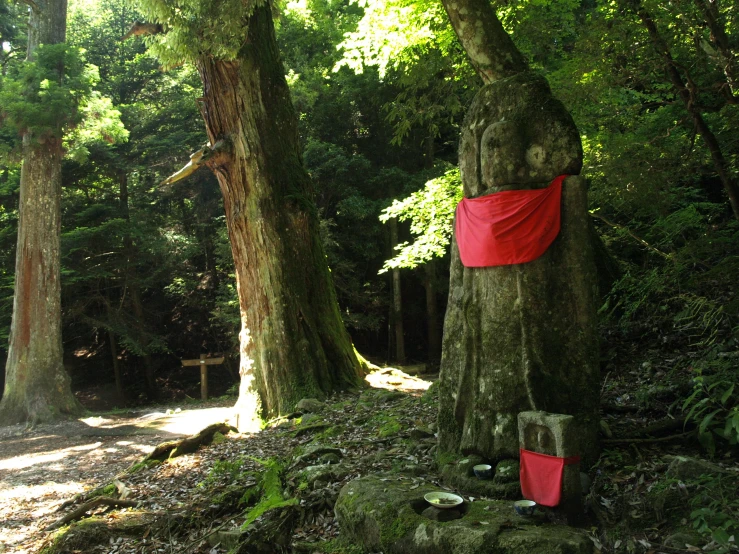 a red tape wrapped around a tree stump