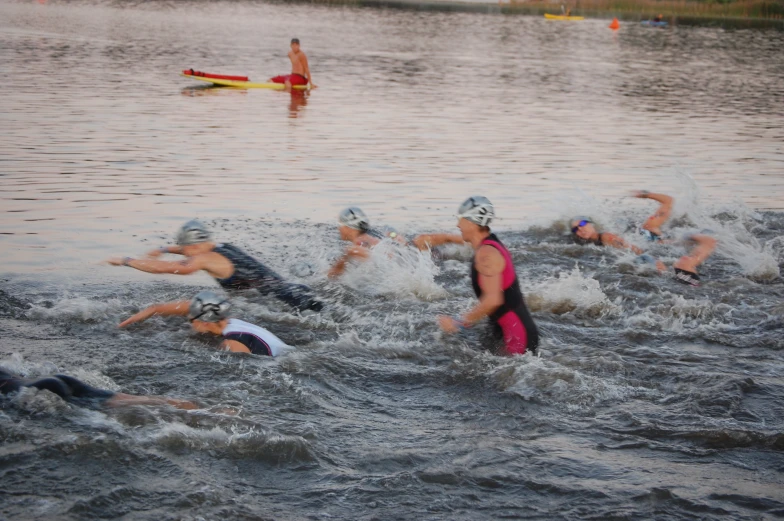 many swimmers are paddling around in the water