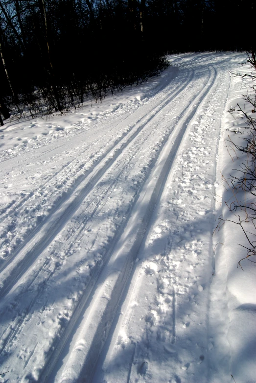 a snow covered road with the sun shining through