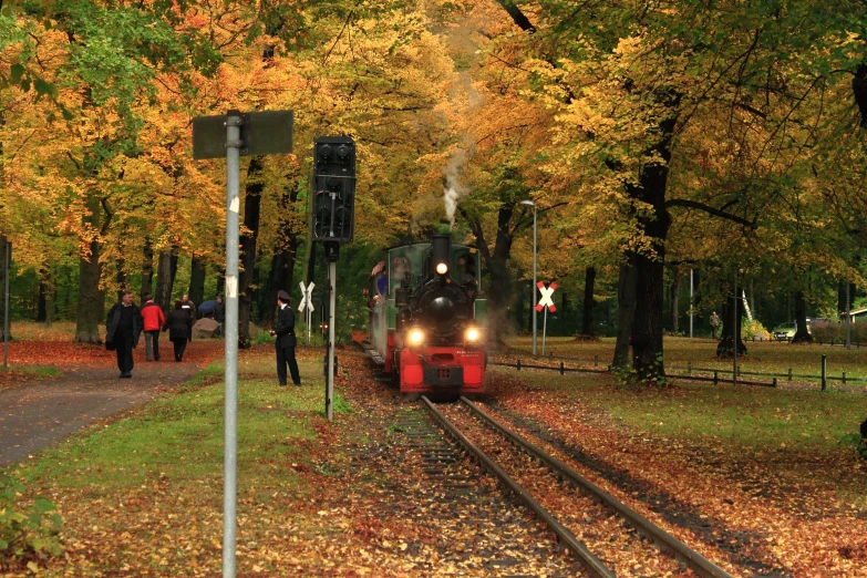 train pulling cars through the fall foliage with pedestrians