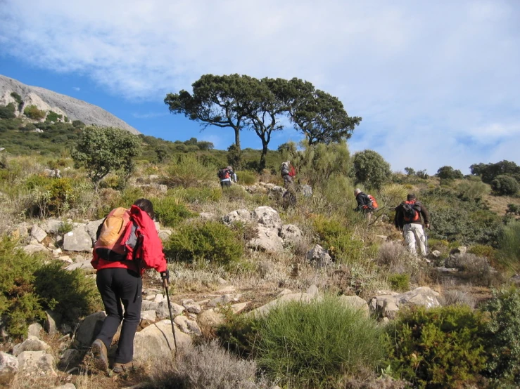 hikers descending a trail through the brush