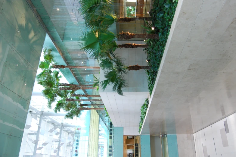 palm trees and landscaping in a building's lobby