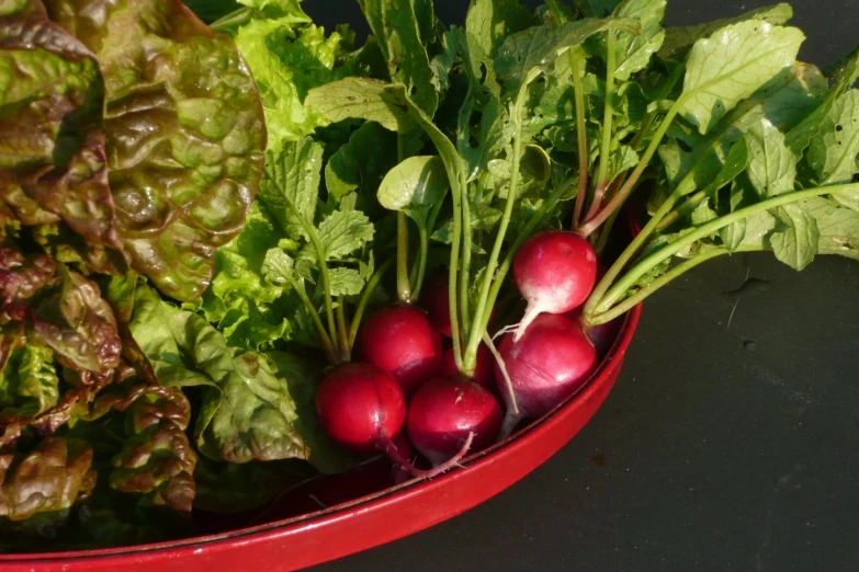 a bunch of fresh radishes are in a bowl