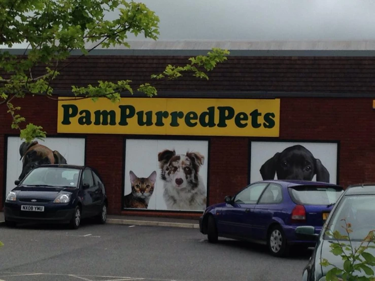 a store front with several dogs and cats on the front