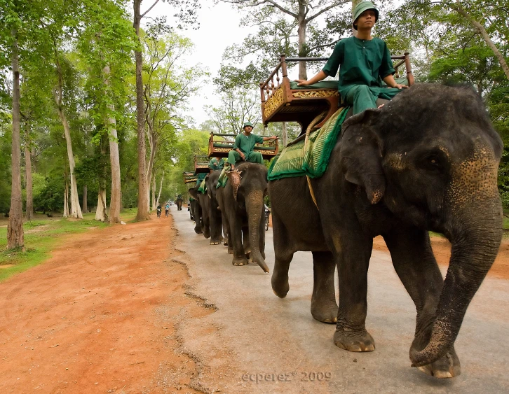 an elephant is carrying a small group of people