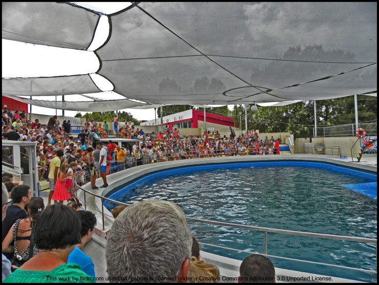 people at an exhibition in a swimming pool