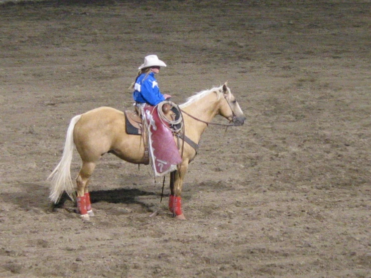 a woman is riding on the back of a horse