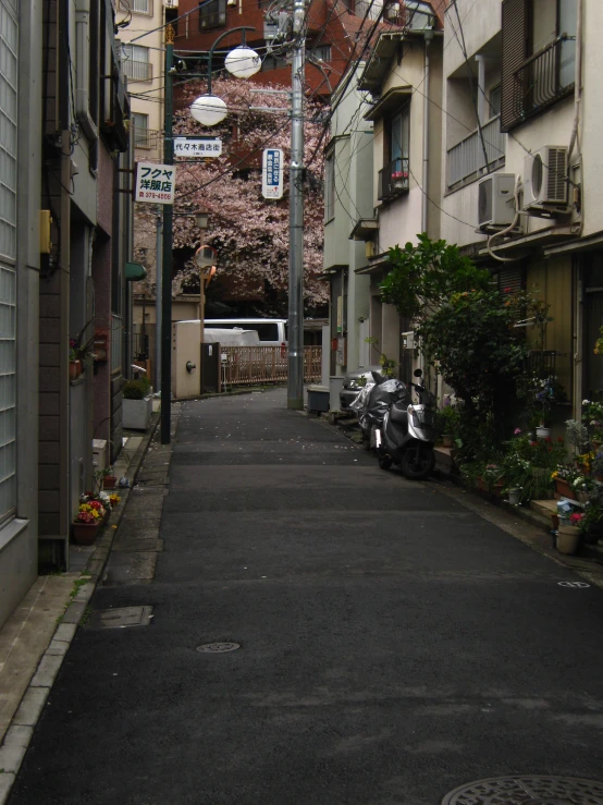 empty street in large urban neighborhood with apartment buildings