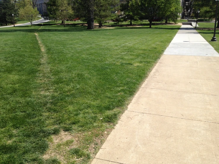 two park benches that are in the grass