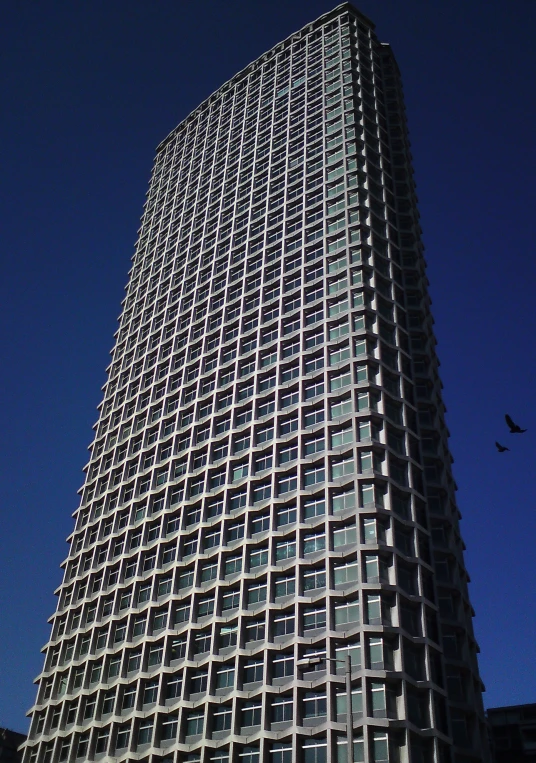 a tall building with multiple windows, a bird flying in the air