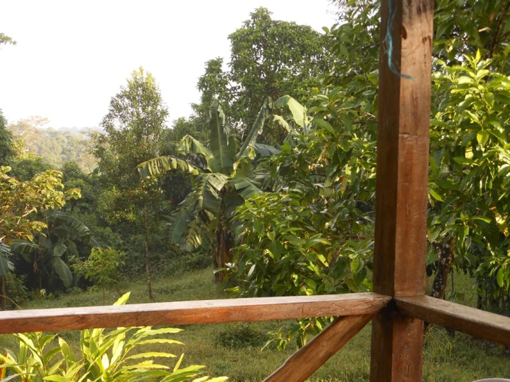 a porch with a table and a bench next to a lush forest