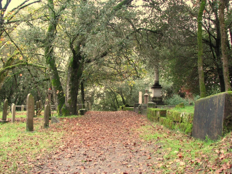 a tree - lined cemetery with trees in the background