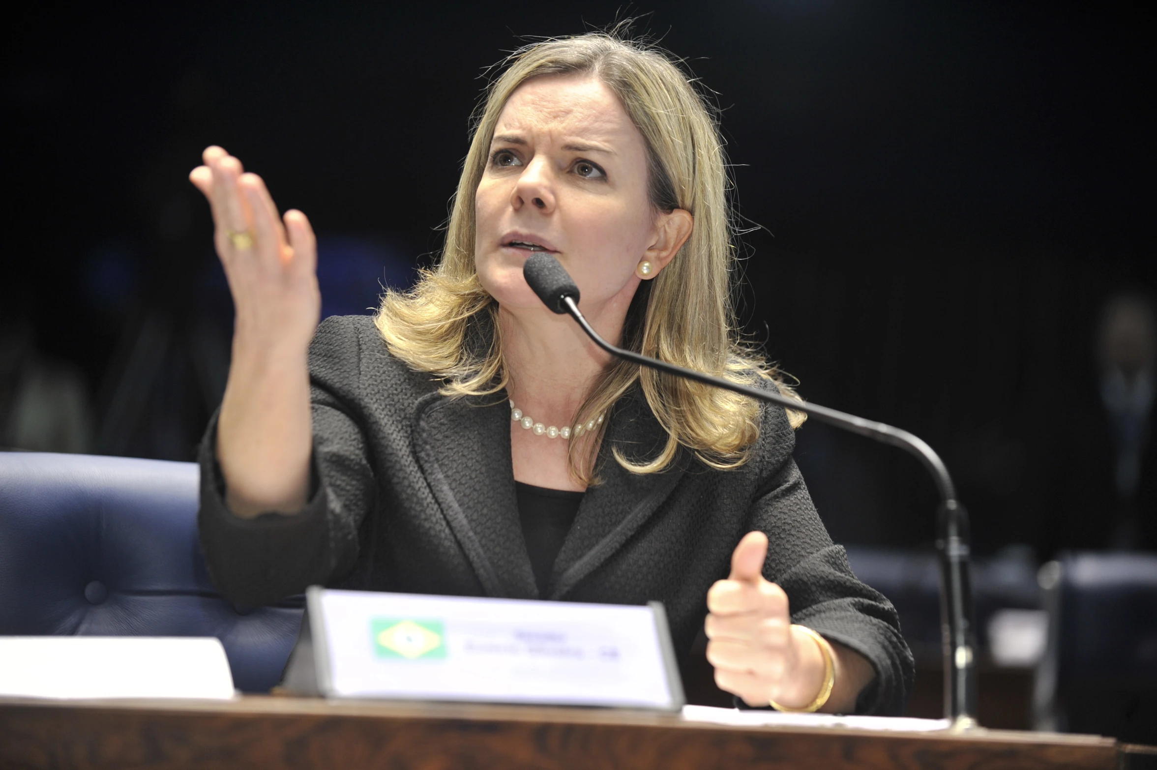 the woman giving a presentation at the table