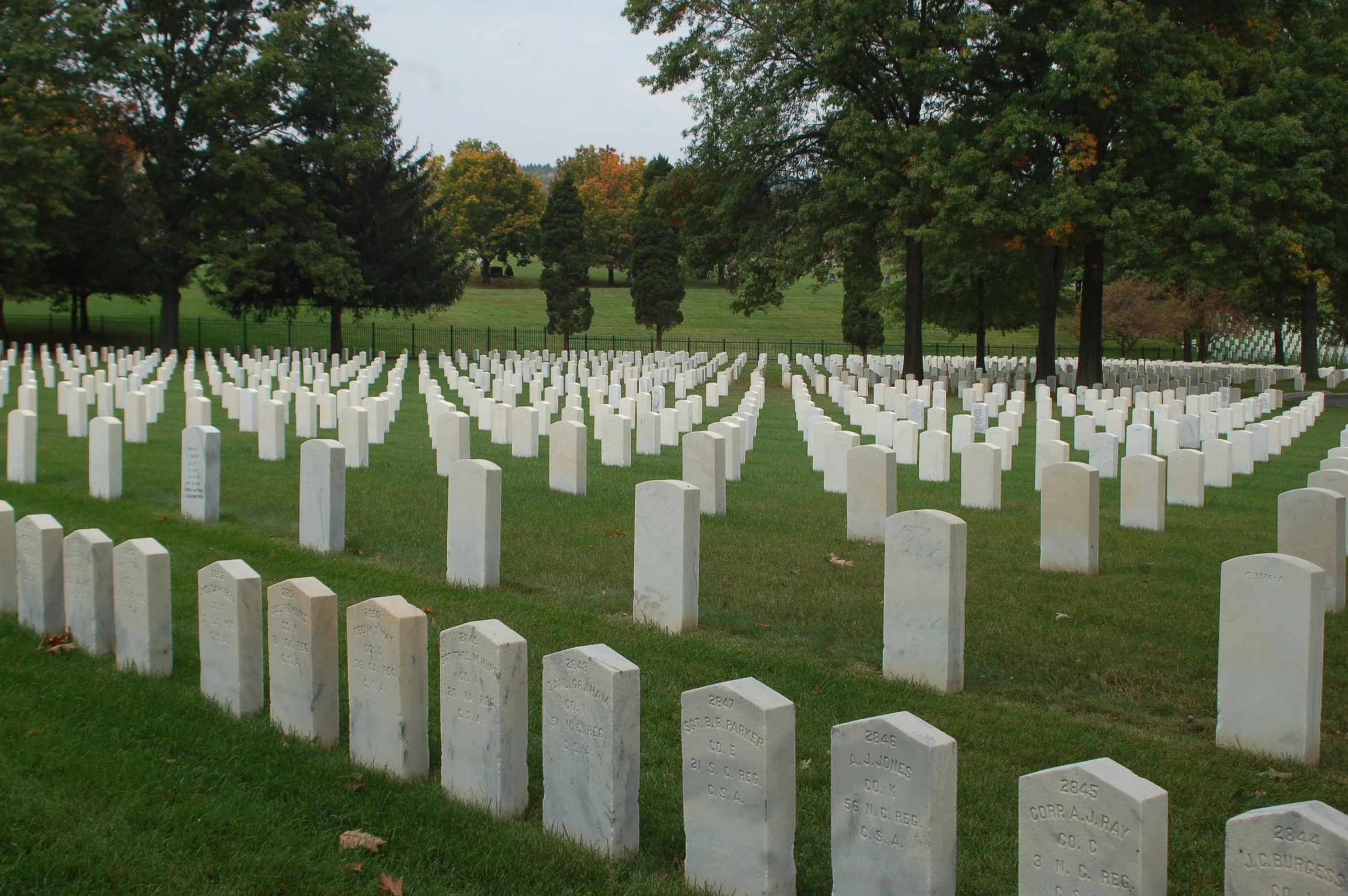 a lot of graves sitting on top of grass