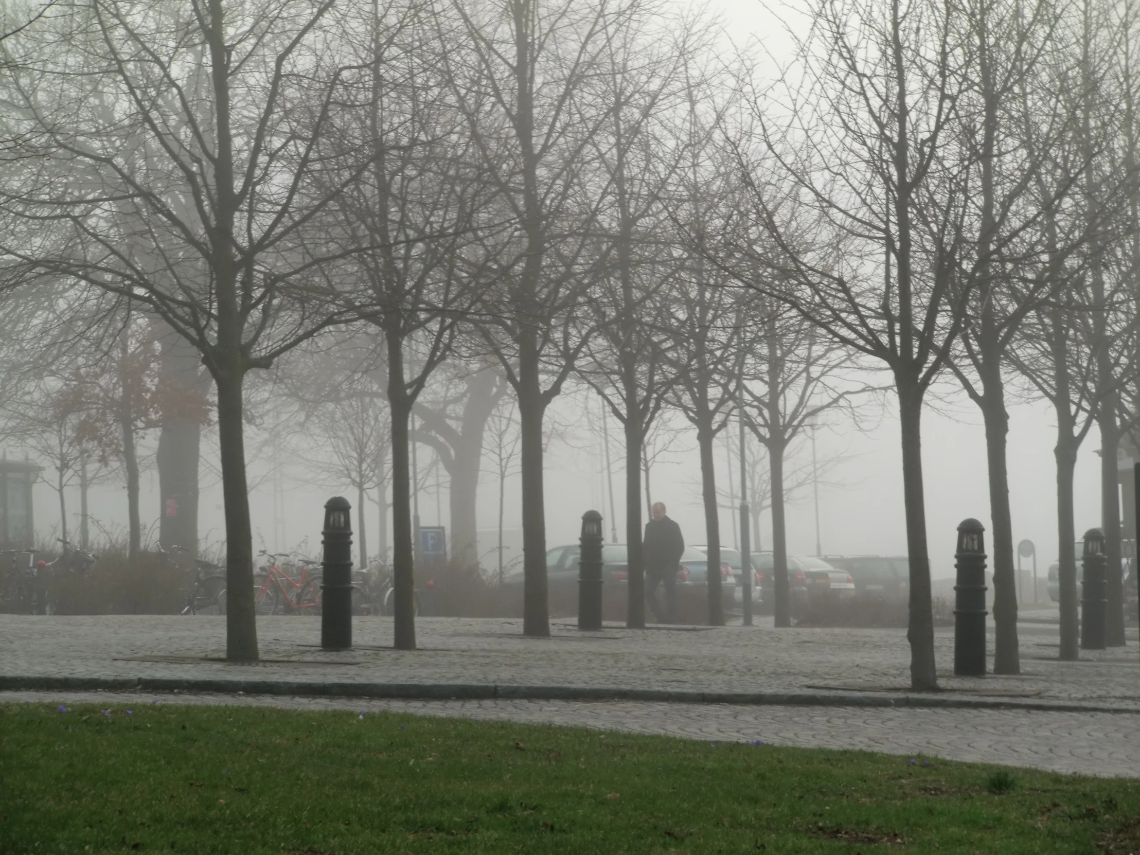 an empty park with benches and lots of trees