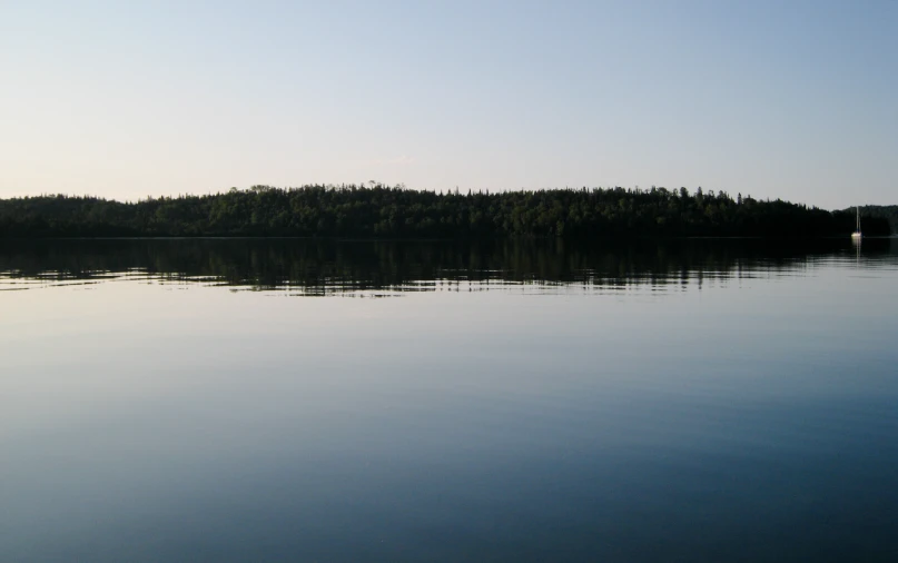 the lake is clear with many trees in it