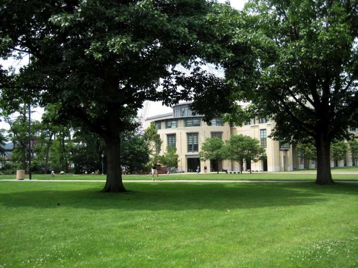 an image of a large green yard with trees