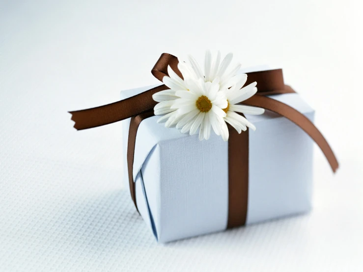 a white and brown present box with brown ribbon