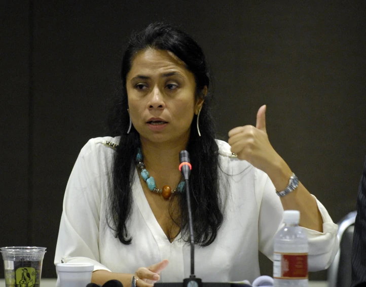 a woman giving a speech at a table