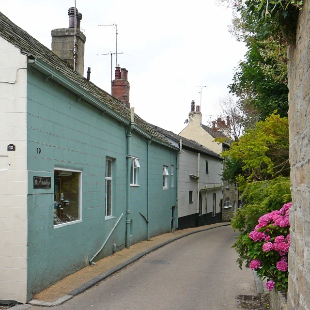 there is a blue house that has a large pink flower pot