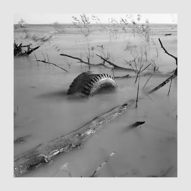 an image of a po that shows the swamps in black and white