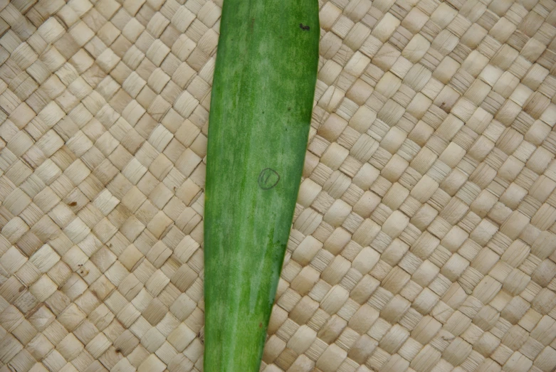 a green squash on the back side of a mat