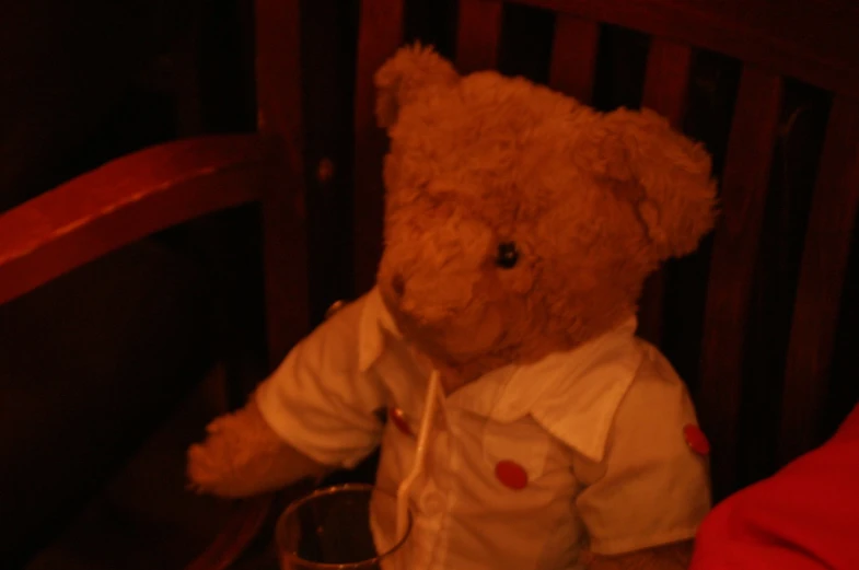 a teddy bear is wearing a shirt and tie