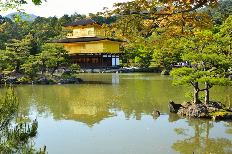 trees are reflected in the calm water of a pond