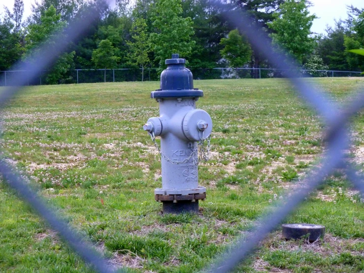 a fire hydrant sits in an open field behind a wire fence