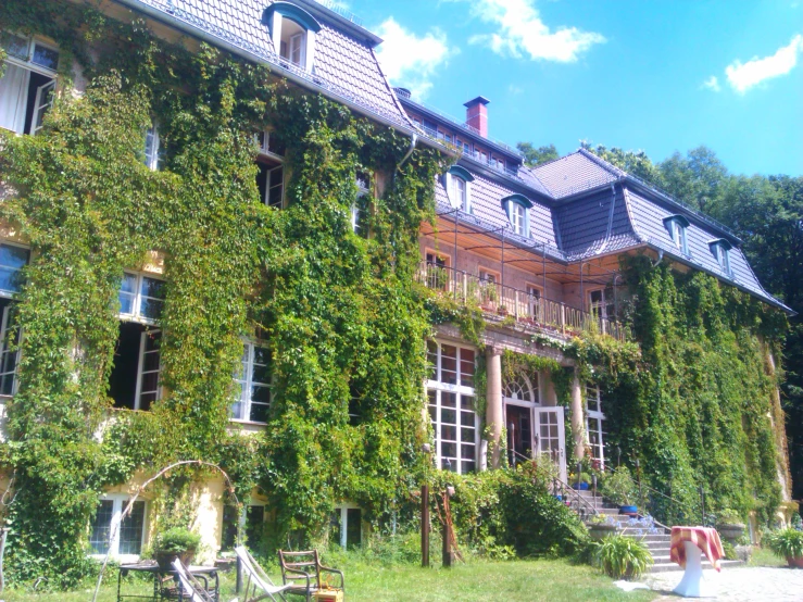 ivy covered building on sunny day with steps to the upper level